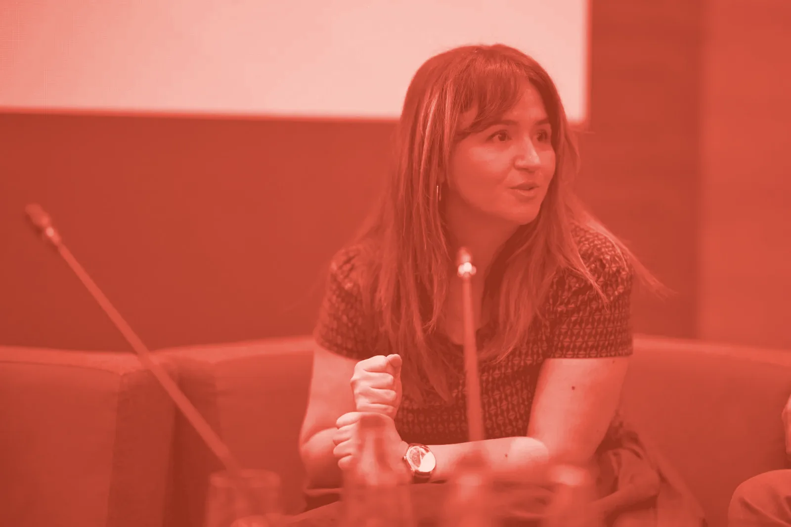 Nora Hasani speaking on a panel